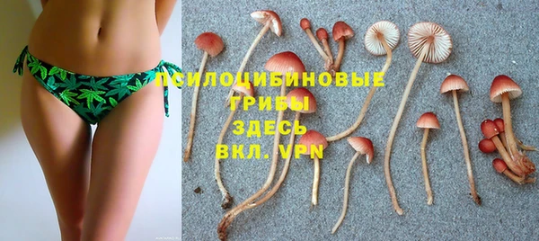 гашиш Белокуриха