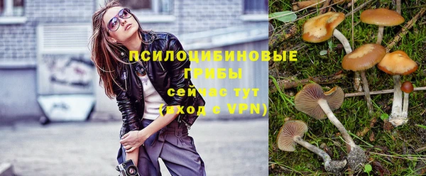 метадон Беломорск