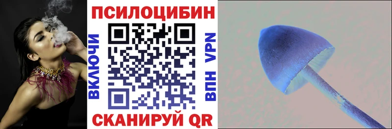 Псилоцибиновые грибы Psilocybine cubensis Коряжма